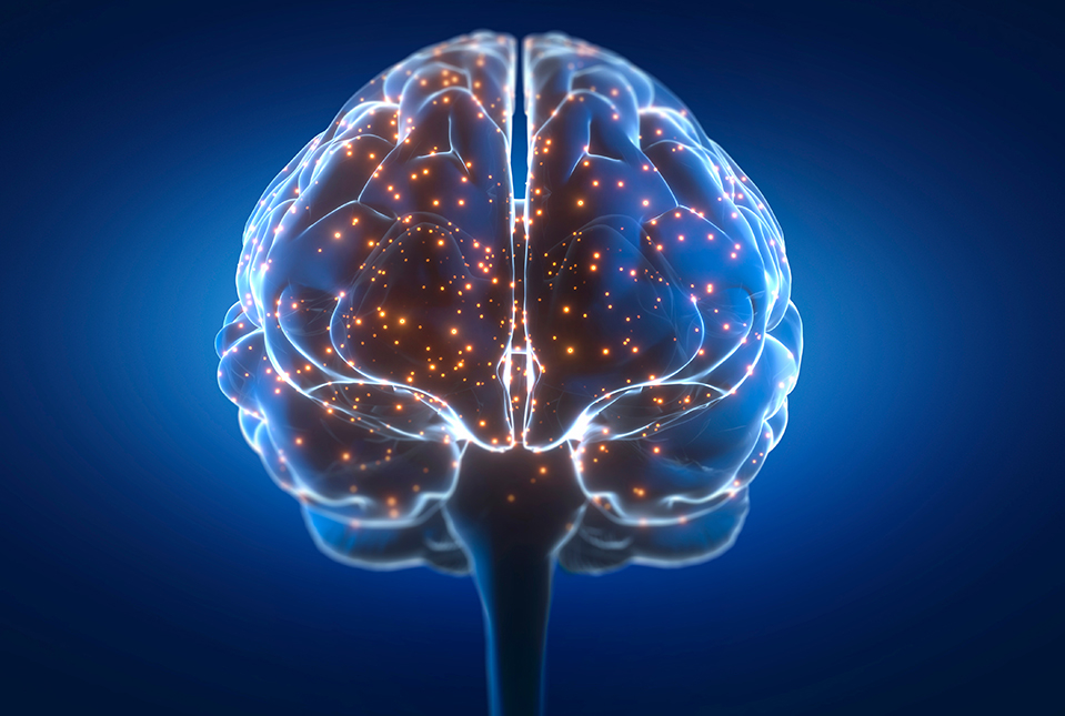 drawing of brain with spots indicating activity