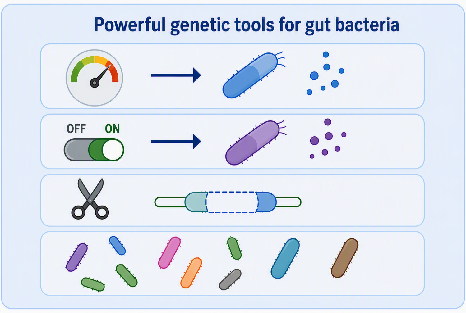 cartoon showing speedometer, on/off switch and scissors as ways bacteria can be manipulated