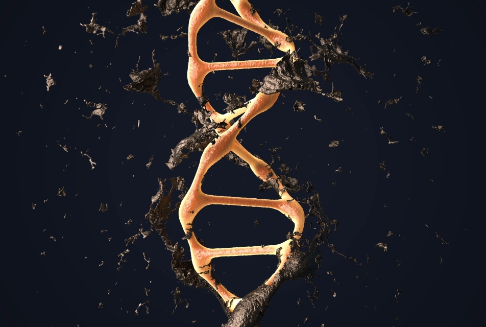 DNA strand destruction