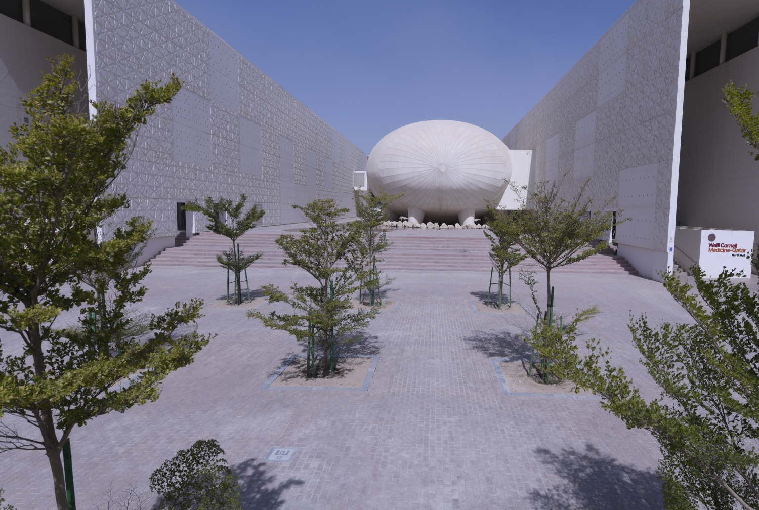 White buildings surrounded by trees