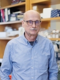 Miklos Toth