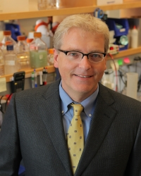 Dr. Dirk Schnapinger