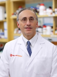 Dr. Shahin Rafii