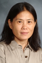 Wenhui Jin, M.D., FACOG 