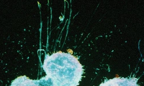 blue spherical objects against a black backdrop