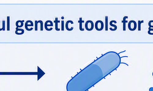 cartoon showing speedometer, on/off switch and scissors as ways bacteria can be manipulated