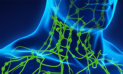 lymphatic vessels