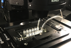 microscope stage with special slides